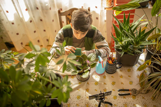 istock A smart boy sitting at the table, writing homework or preparing for the exam. 1293338259