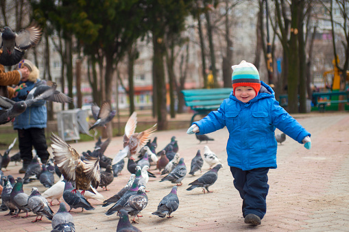 Child running after pigeons. Boy playing with pigeons doves birds in city park