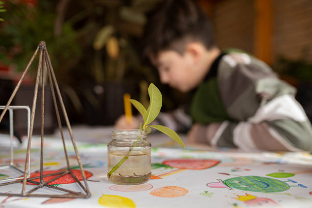 School boy is doing homework at the table at home, focus on plant at foreground.