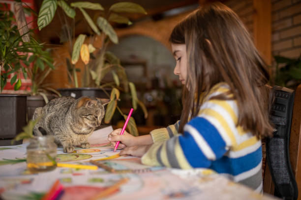 Small girl is drawing with her cat