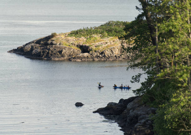 istock Coastal scenes from Vancouver Island 1293339494