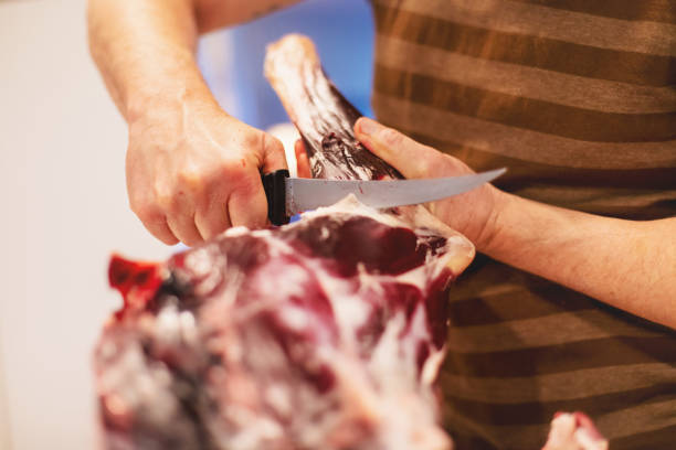 butchering and processing wild game mule deer meat in western colorado following hunting harvest photo series - venison imagens e fotografias de stock