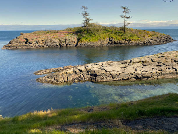 istock Coastal scenes from Vancouver Island 1293340307