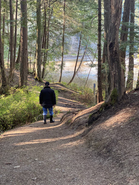 istock Walking trails on Southern Vancouver Island 1293340335
