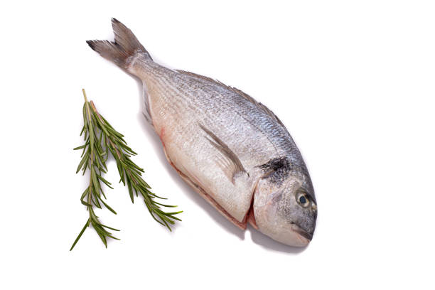 istock Raw fresh gilthead fish with rosemary 1293340465