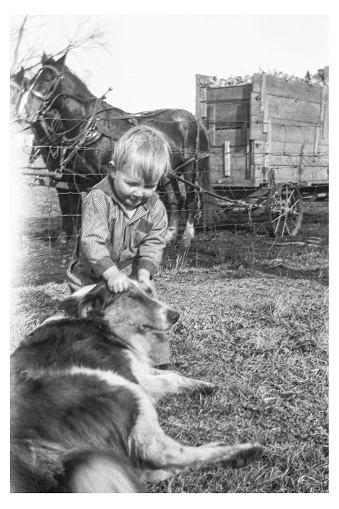 Little boy dressed in coveralls pulling hair of collie dog outdoors on farm in autumn 1928. Wagon load of ear corn with draft horses pulling it in background. Wellman, Iowa, USA. Scanned film with grain, soft focus.