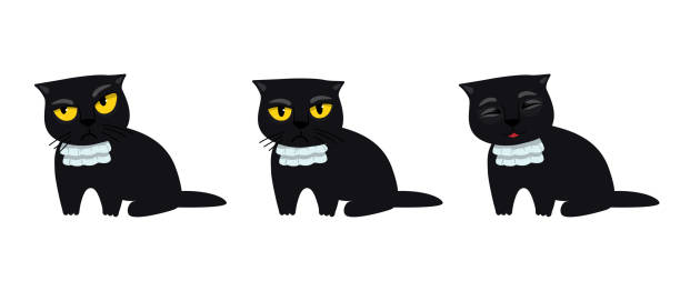 katzen silhouette vektor set schwarze katze in einem jabot. nettes kätzchen mit verschiedenen emotionen. wütend, skeptisch, glücklich. lustige katze brechen dinge comic-illustration, cartoon-vektor-zeichnung. - jabot stock-grafiken, -clipart, -cartoons und -symbole