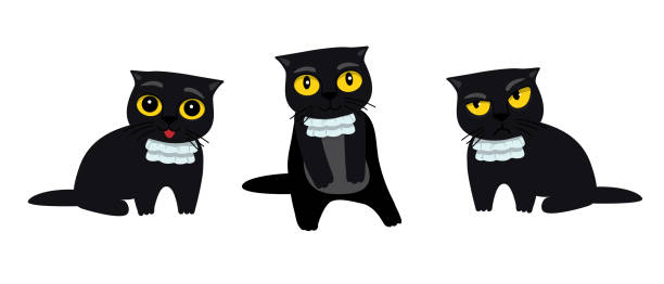 katzen silhouette vektor set schwarze katze in einem jabot. nettes kätzchen mit verschiedenen emotionen. wütend, skeptisch, glücklich. lustige katze brechen dinge comic-illustration, cartoon-vektor-zeichnung. - jabot stock-grafiken, -clipart, -cartoons und -symbole