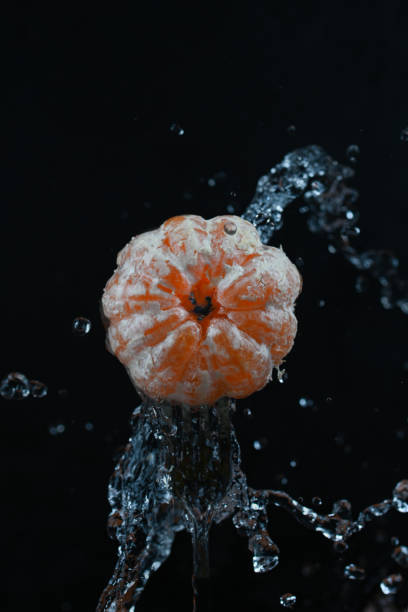 Tangerines with water splash on black background.