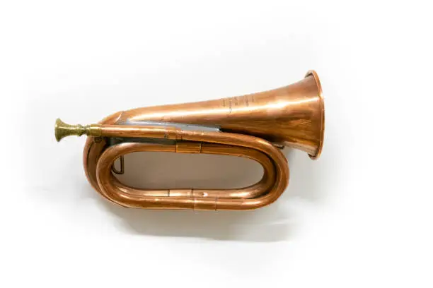 Photo of Musical instrument on white background