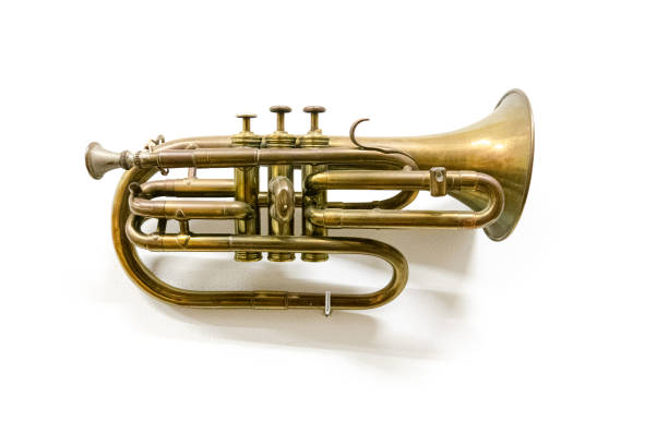 trumpet on white background - bugle trumpet brass old fashioned imagens e fotografias de stock
