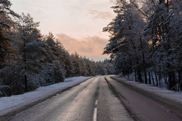 istock Cold winter forest in morning mist with snow covered tree trunks.  Snow covered road through forest. beautiful winter scenery at sunrise. Spruce trees along the path in hoarfrost and sunlight 1293358236