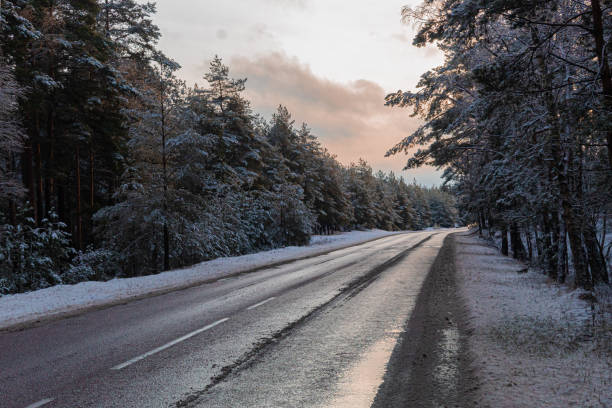 istock Cold winter forest in morning mist with snow covered tree trunks.  Snow covered road through forest. beautiful winter scenery at sunrise. Spruce trees along the path in hoarfrost and sunlight 1293358237