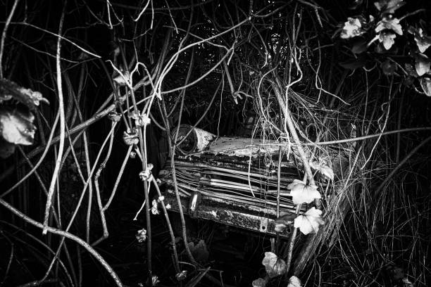 Black and white view of weathered car near trees