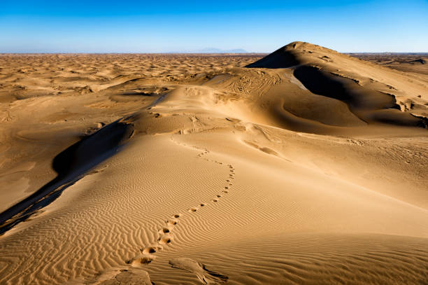 istock Footsteps on dunes in Kubuqi Desert, Inner Mongolia, China 1293358451