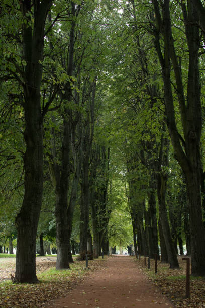 istock Views of Kaliningrad (Königsberg) 1293358552