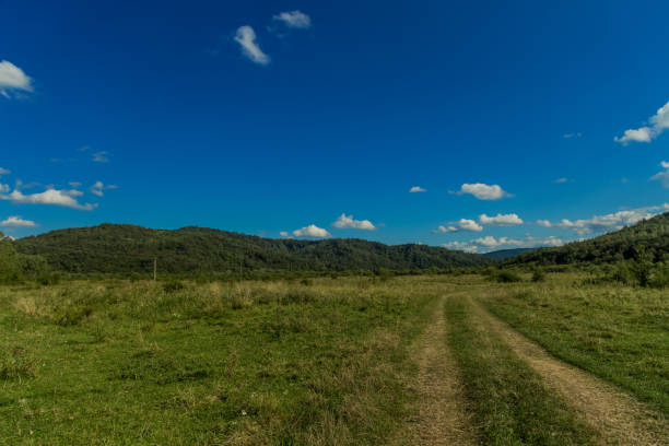 rustic green field nature environment space with dirt path way tracks from car tire and mountain horizon background scenic view in clear weather day time