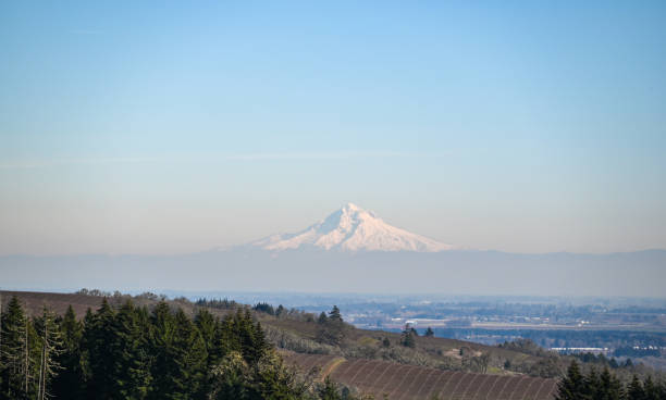istock Mt Hood rises on the horizon, covered in snow 1293365928