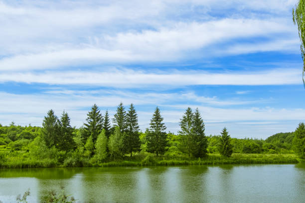 Beautiful blue sky with white clouds above the tree grove on the riverbank, perfect reflection on the water surface