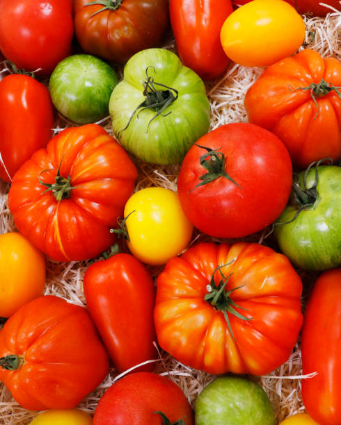 istock heirloom tomatoes also known as heritage tomatoes collection 1293367801