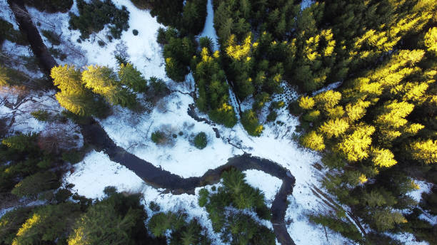 foto drone de floresta com córrego no inverno com luz e sombra - bend sun river snow - fotografias e filmes do acervo