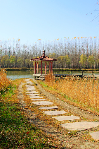 weeds and path in the late autumn season, north china