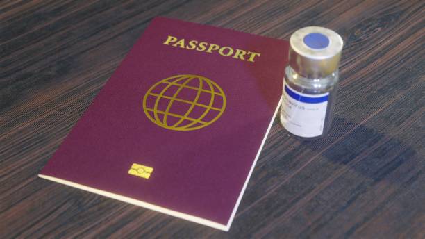 istock Coronavirus COVID-19 Vaccine Immunity passport 1293373419