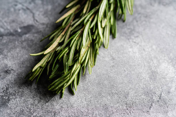 istock Bunch of green rosemary branches on rustic background. Close-up shot. Selective focus 1293382057