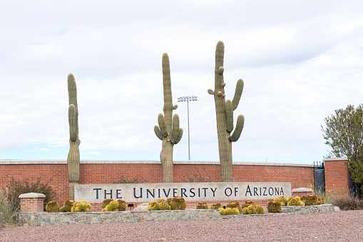 December 25, 2020 - Tucson, Arizona, USA: This is one of the welcome signs for the campus of the University of Arizona.  A variety of cactus surround the sign, an indicator of the arid climate in Tucson, Arizona.