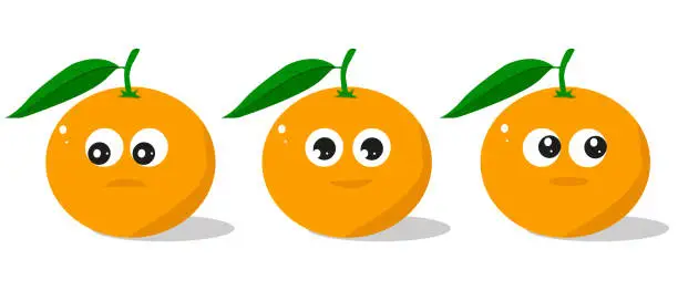 Vector illustration of Set of oranges, cartoon illustration