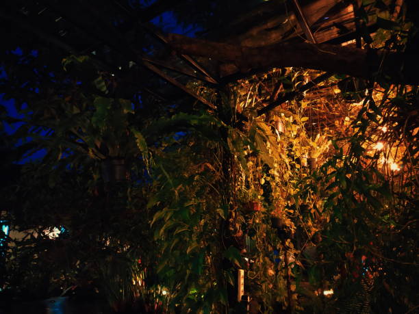 istock Plants in coffee shop 1293407132