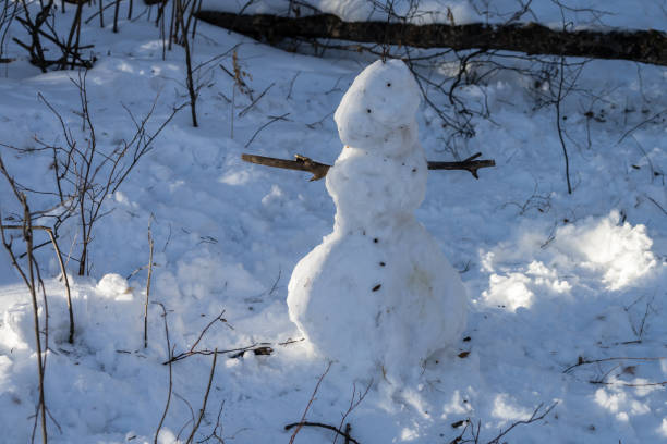 istock Baby snowman at forest 1293407884