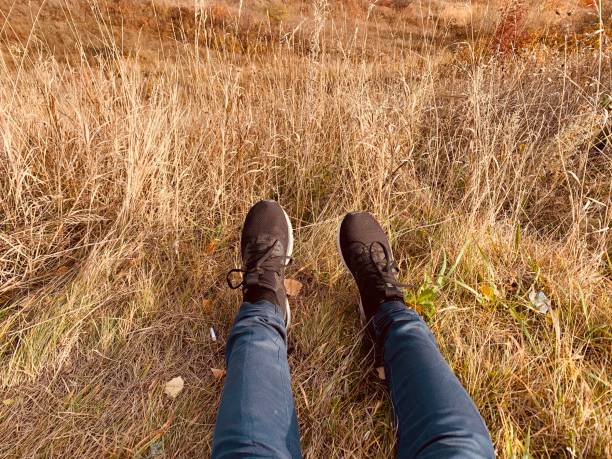 istock Relaxing in the field 1293412448