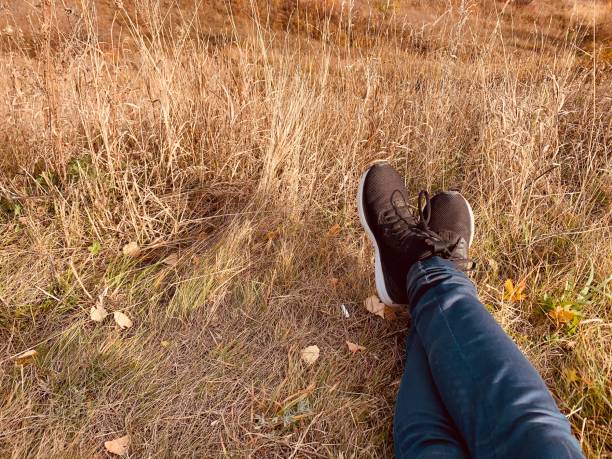 istock Relaxing in the field 1293412456
