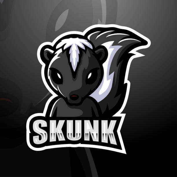 kokarca maskotu esport amblemi tasarımı - skunk stock illustrations