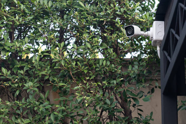 istock Closed circuit television camera or CCTV for security installed in the park 1293417957