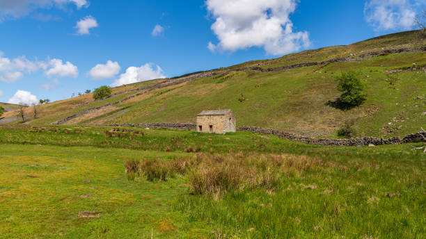 istock Gunnerside Beck, North Yorkshire, England 1293422210