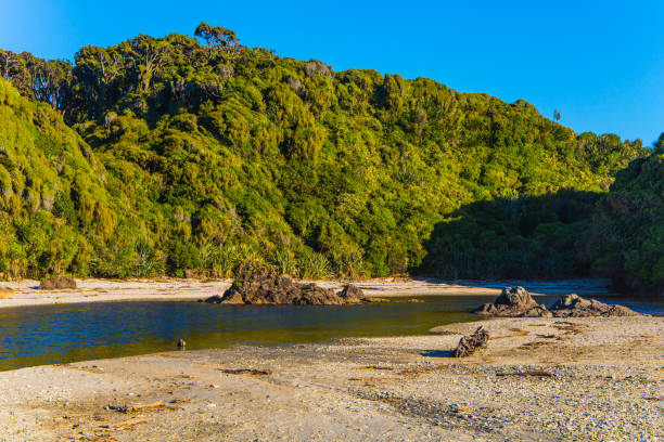 istock The road to Knight's Point Lookout 1293423009