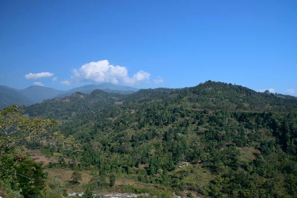 istock sweetest part of india 1293423385