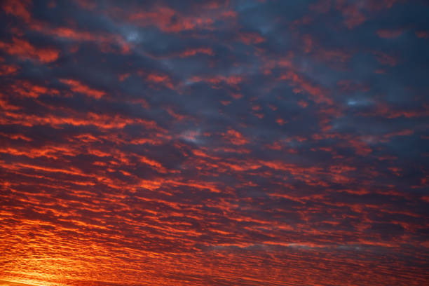 Autumn dawn with beautiful pinnate clouds. Beautiful sky.