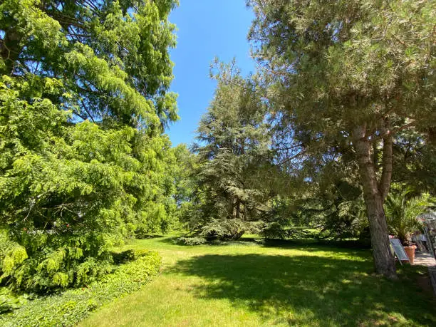 Photo of Landscape of the Park and trees on the island of flowers (Flower Island on the Lake Constance or Die Blumeninsel im Bodensee) - Constance, Germany or Konstanz, Deutschland