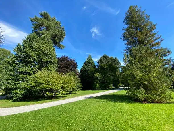 Photo of Landscape of the Park and trees on the island of flowers (Flower Island on the Lake Constance or Die Blumeninsel im Bodensee) - Constance, Germany or Konstanz, Deutschland