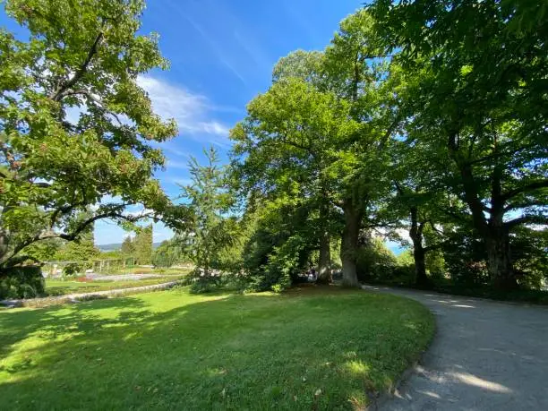 Photo of Landscape of the Park and trees on the island of flowers (Flower Island on the Lake Constance or Die Blumeninsel im Bodensee) - Constance, Germany or Konstanz, Deutschland