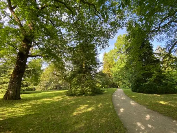 Photo of Landscape of the Park and trees on the island of flowers (Flower Island on the Lake Constance or Die Blumeninsel im Bodensee) - Constance, Germany or Konstanz, Deutschland