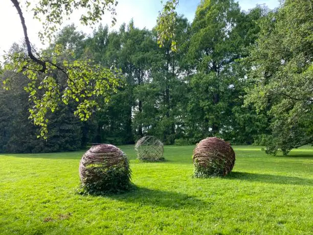 Photo of Landscape of the Park and trees on the island of flowers (Flower Island on the Lake Constance or Die Blumeninsel im Bodensee) - Constance, Germany or Konstanz, Deutschland