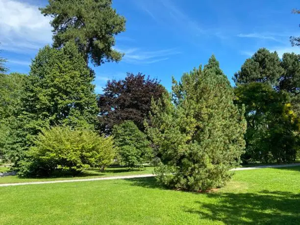 Photo of Landscape of the Park and trees on the island of flowers (Flower Island on the Lake Constance or Die Blumeninsel im Bodensee) - Constance, Germany or Konstanz, Deutschland