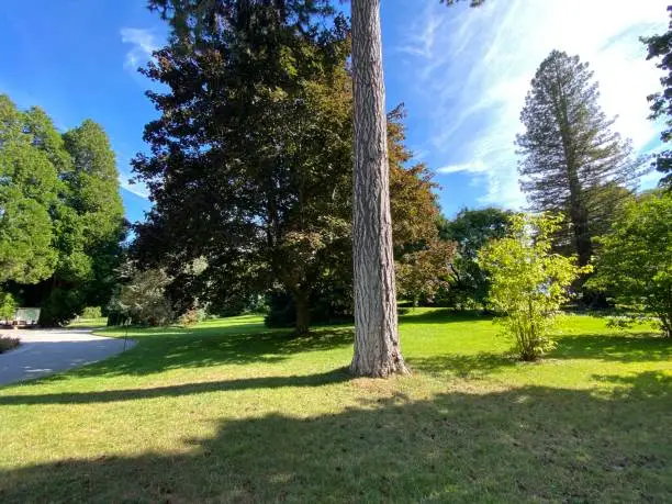 Photo of Landscape of the Park and trees on the island of flowers (Flower Island on the Lake Constance or Die Blumeninsel im Bodensee) - Constance, Germany or Konstanz, Deutschland