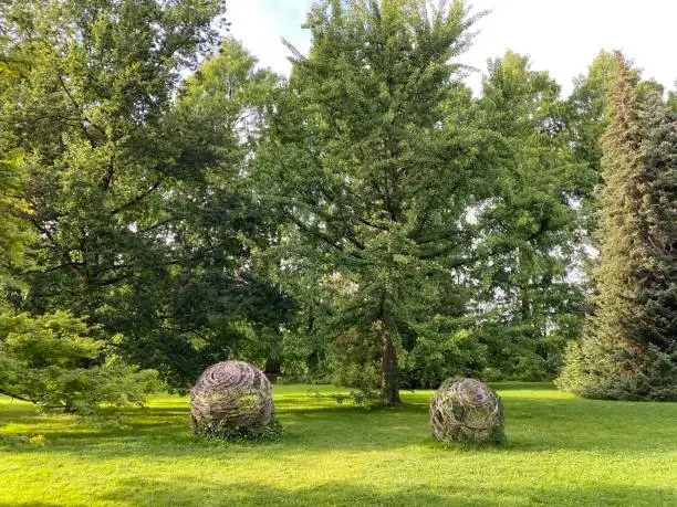 Photo of Landscape of the Park and trees on the island of flowers (Flower Island on the Lake Constance or Die Blumeninsel im Bodensee) - Constance, Germany or Konstanz, Deutschland