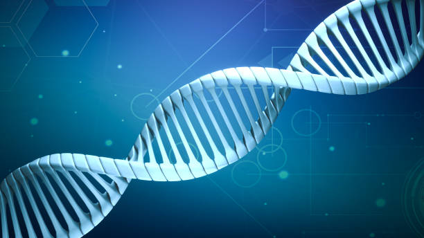 istock Model Abstract DNA 3d rendering animation on dark blue background. blue glowing rotating DNA double helix. Science and medicine concepts. loop background design of genetics information. 1293428563