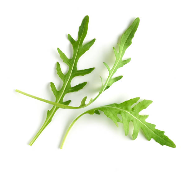 istock fresh green arugula leaves isolated on white background, top view 1293429401